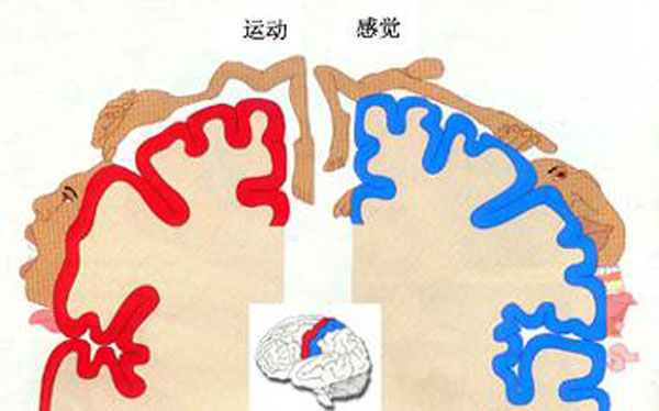 何谓心理健康的异常表现